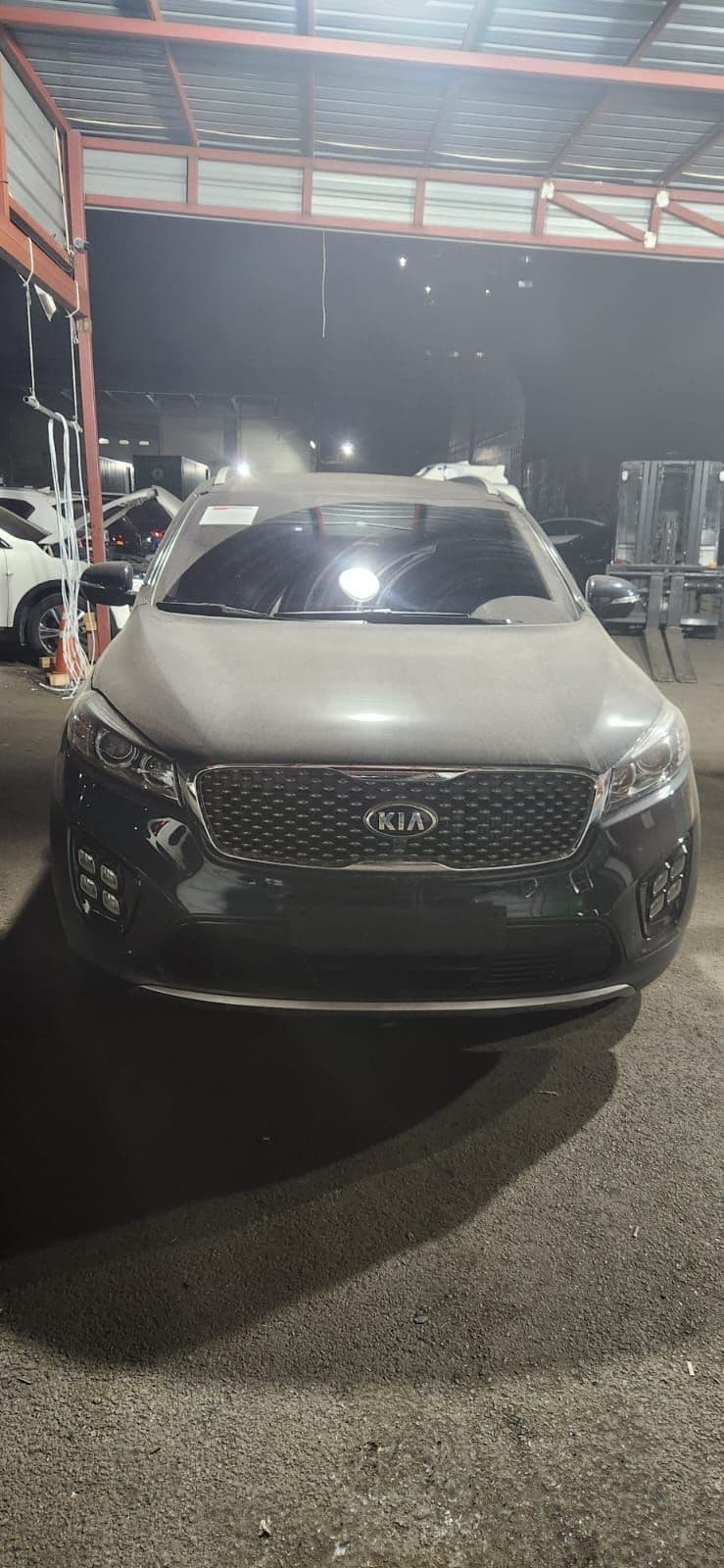 Carify Korea car delivery photo